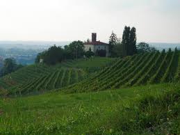 L’Azienda Agricola Il Colombo a Mondovì, sullosfondo la pianura monregalese
