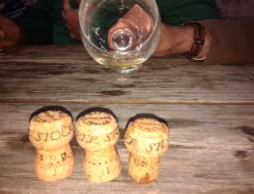 Sebastian Stocker. L’uomo che fece Terlano