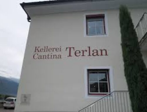 La modernità e la tradizione: Cantine di Terlano