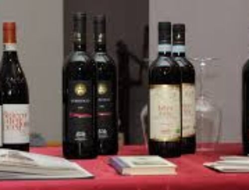 La Barbera o il Barbera?!?