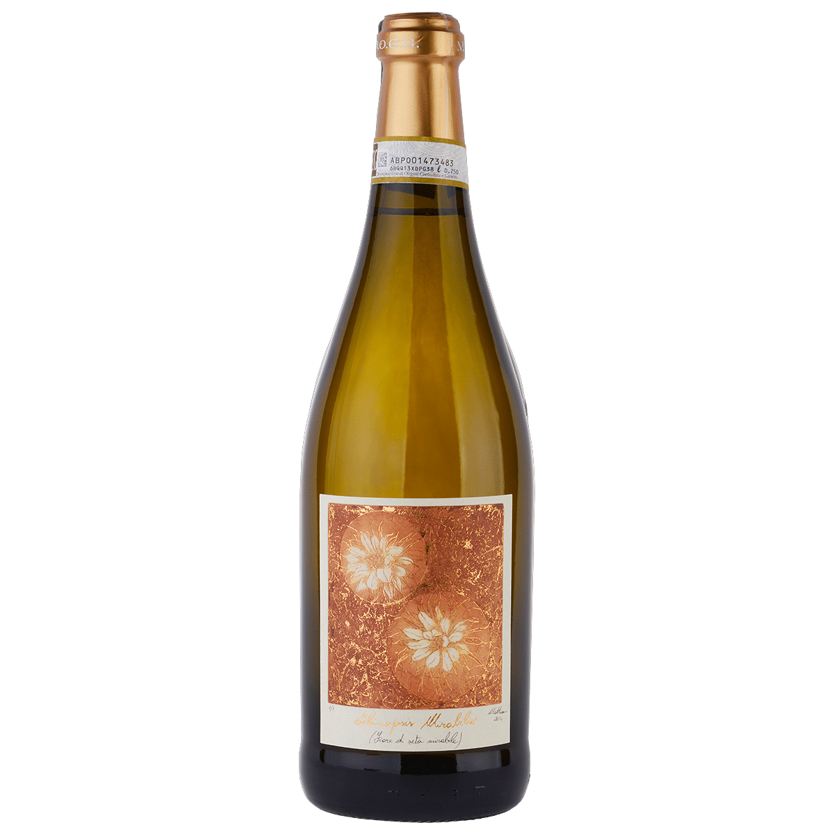 Luigi Vico - Moscato d’Asti DOCG 2020 Echinopsis Mirabilis