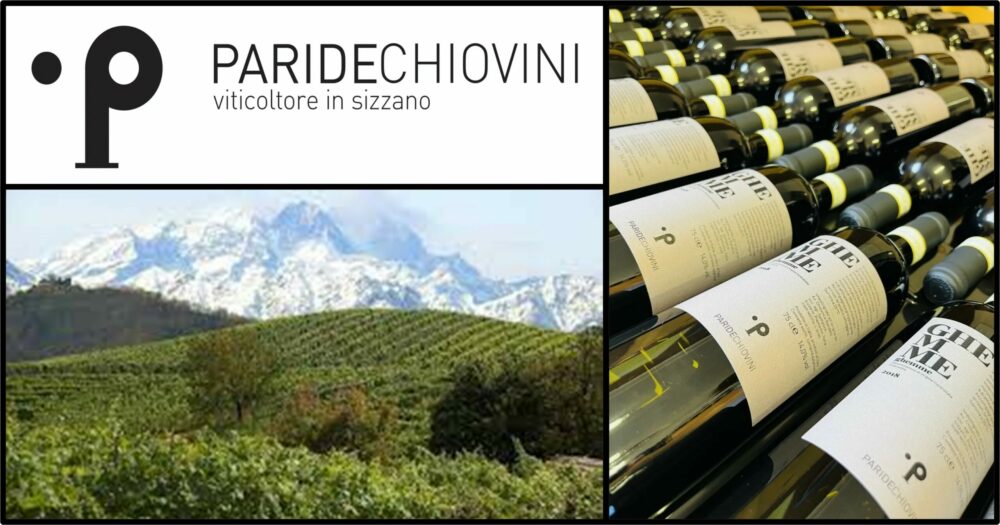 Logochiovini