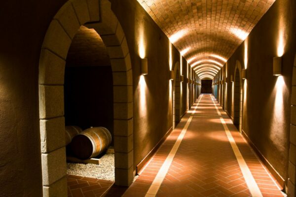 cantine-statti-lamezia-terme-3-1200x800